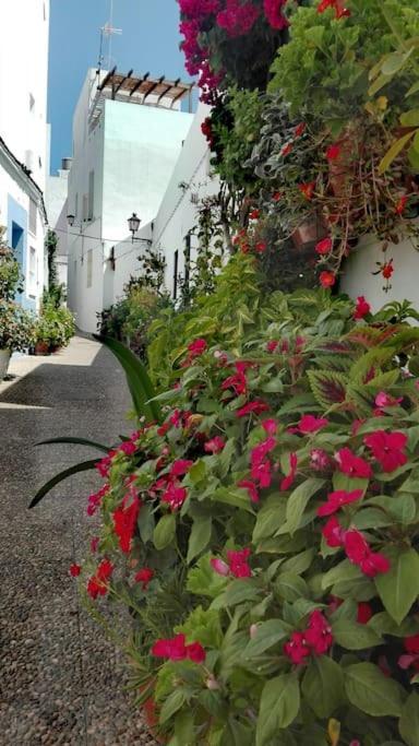 Apartament Corazon De Conil Conil De La Frontera Zewnętrze zdjęcie