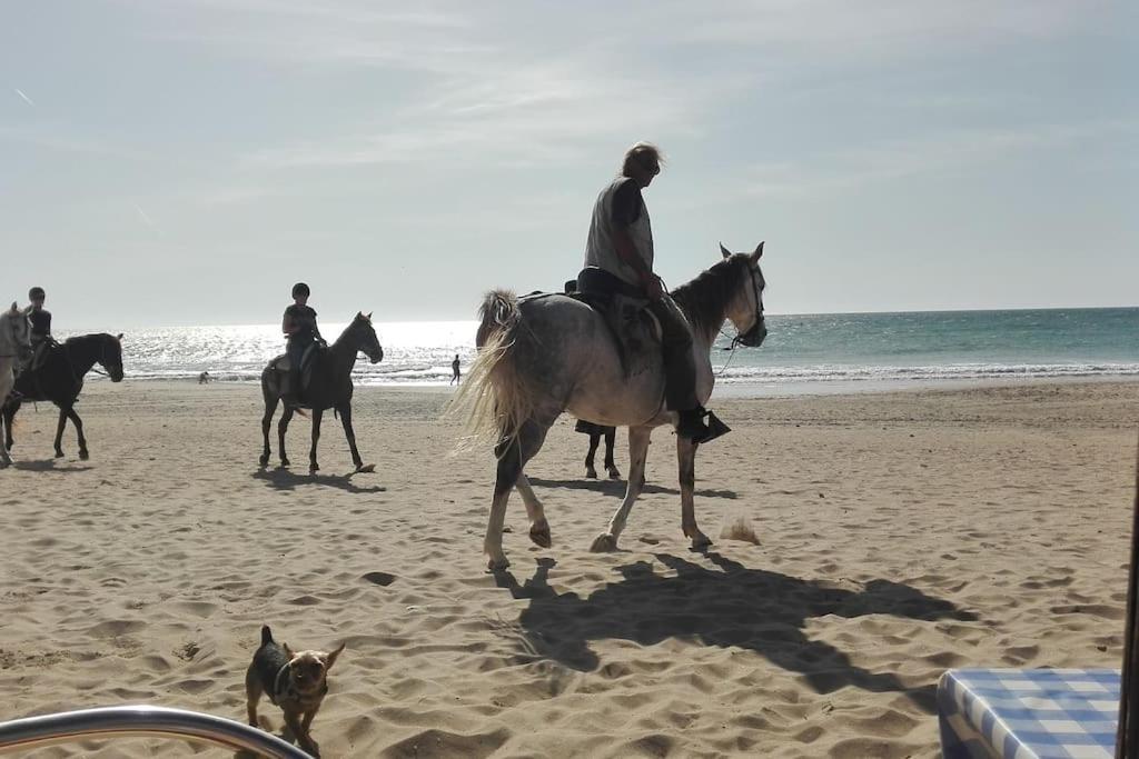 Apartament Corazon De Conil Conil De La Frontera Zewnętrze zdjęcie