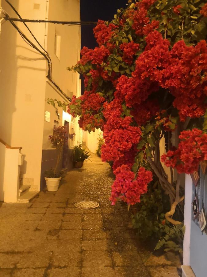 Apartament Corazon De Conil Conil De La Frontera Zewnętrze zdjęcie