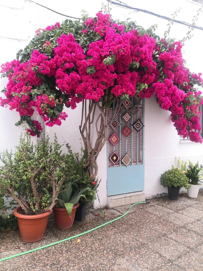 Apartament Corazon De Conil Conil De La Frontera Zewnętrze zdjęcie