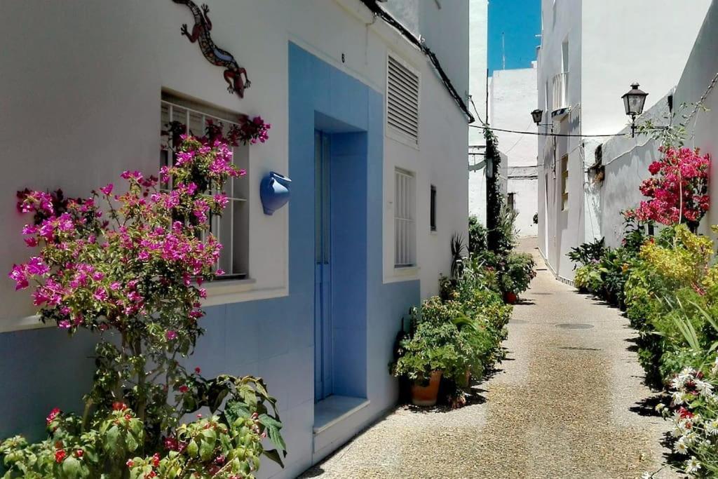 Apartament Corazon De Conil Conil De La Frontera Zewnętrze zdjęcie