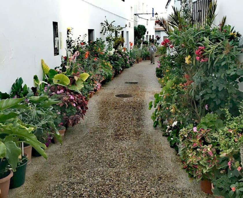 Apartament Corazon De Conil Conil De La Frontera Zewnętrze zdjęcie