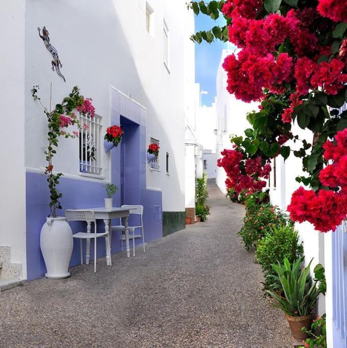 Apartament Corazon De Conil Conil De La Frontera Zewnętrze zdjęcie