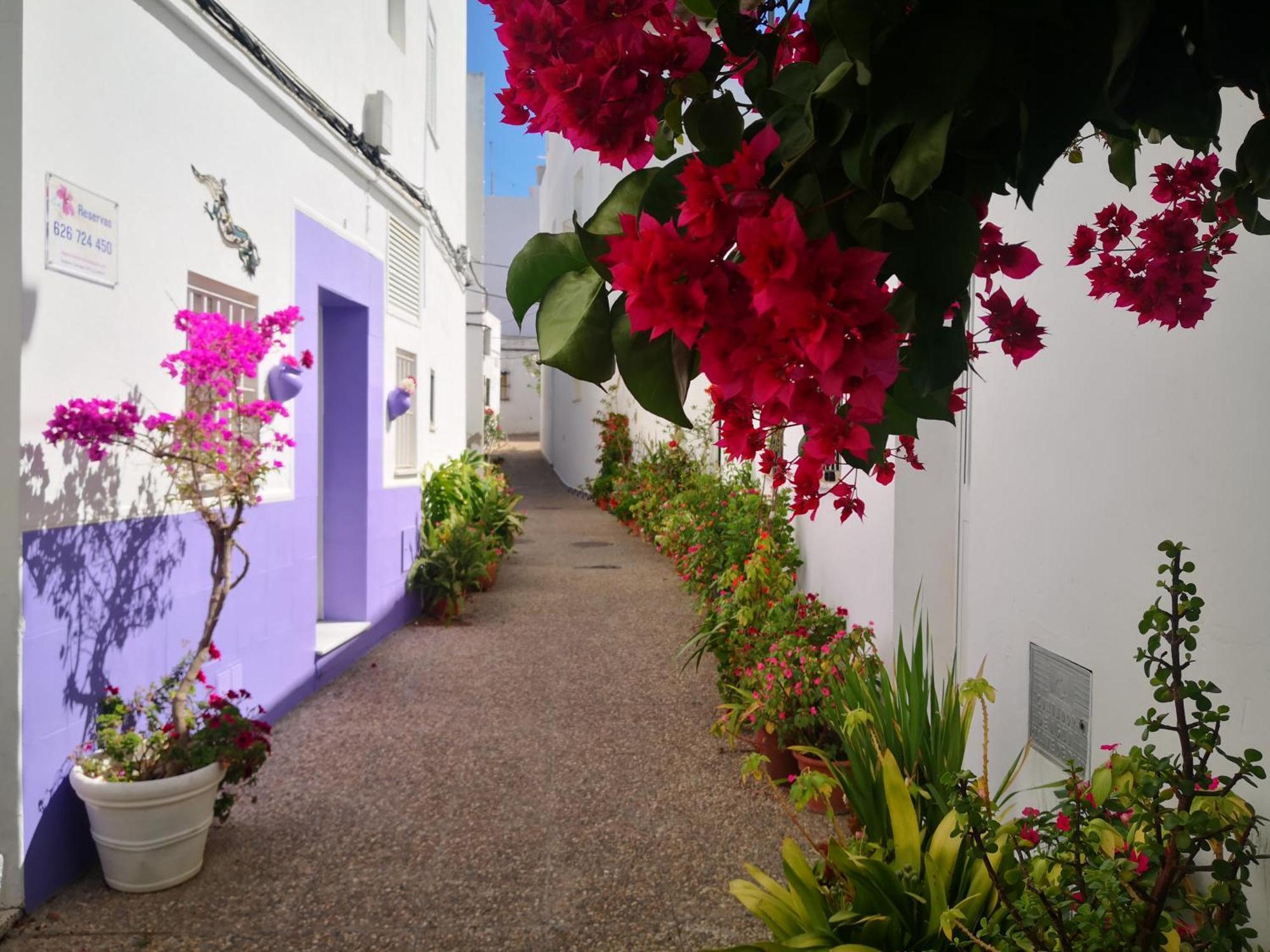 Apartament Corazon De Conil Conil De La Frontera Zewnętrze zdjęcie